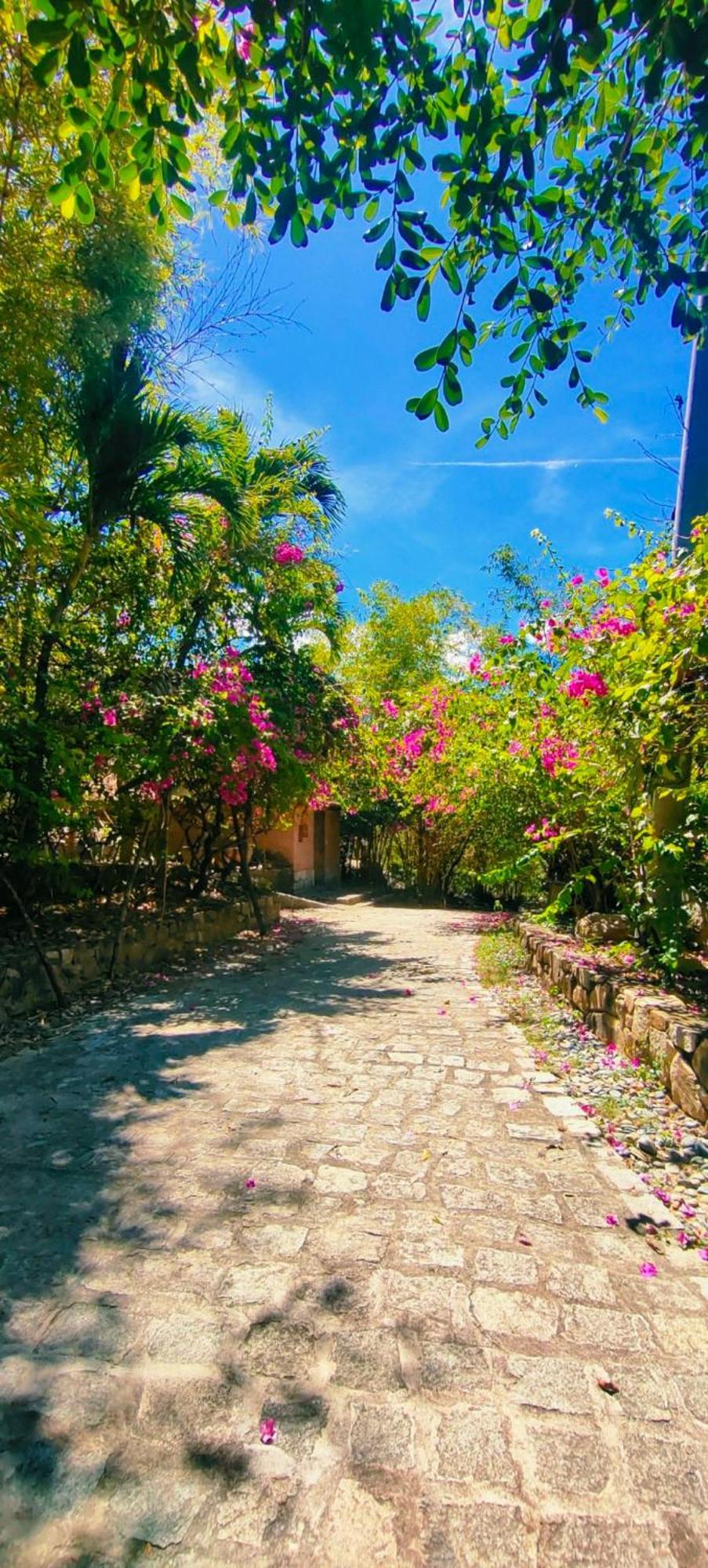 Wild Beach Boutique Resort Ninh Phuoc Esterno foto