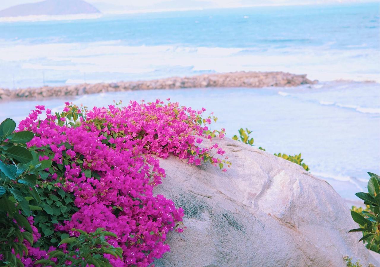 Wild Beach Boutique Resort Ninh Phuoc Esterno foto